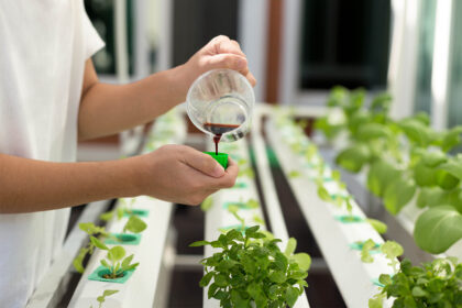 Jual Hidroponik Pipa PVC 40 Lubang dengan Atap Transparan DFT Sistem ...