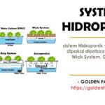 Kelebihan dan kekurangan menggunakan system hidroponik | by Golden Farm ...