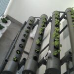 Hidroponik di balkon rumah