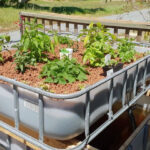 Apa itu Hidroponik? Sistem, Cara Kerja dan Manfaat yang Didapatkan