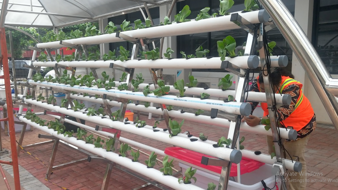 Mengenal Sistem Hidroponik dan Penerapannya - De Orchids