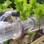 Cara Membuat Rak Hidroponik Dari Kayu Dan Botol Bekas Hidroponik - Riset