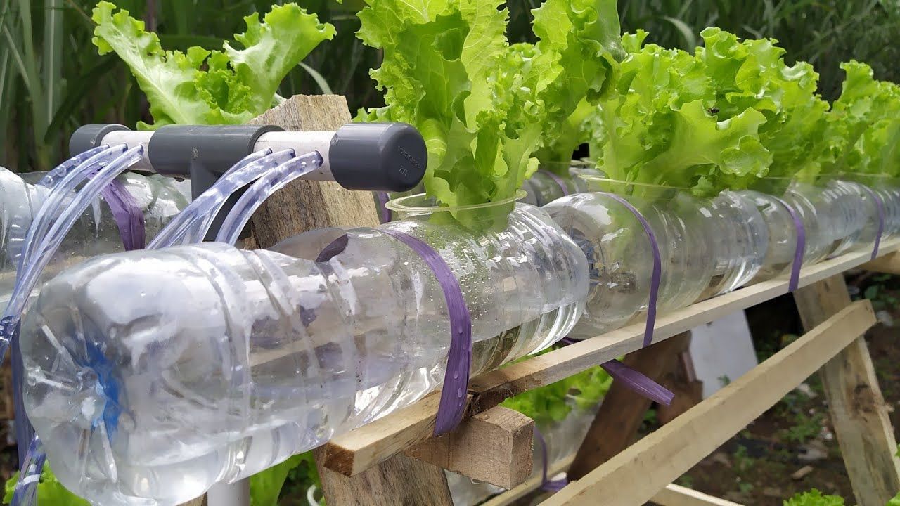 Cara Membuat Rak Hidroponik Dari Kayu Dan Botol Bekas Hidroponik - Riset Cara Membuat Rak Hidroponik Dari Kayu Dan Botol Bekas Hidroponik - Riset