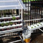 KABAR BAGINDA : Perokok Aktif vs Perokok Pasif – Raja Bandar