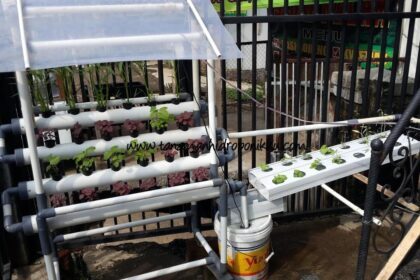 KABAR BAGINDA : Perokok Aktif vs Perokok Pasif – Raja Bandar