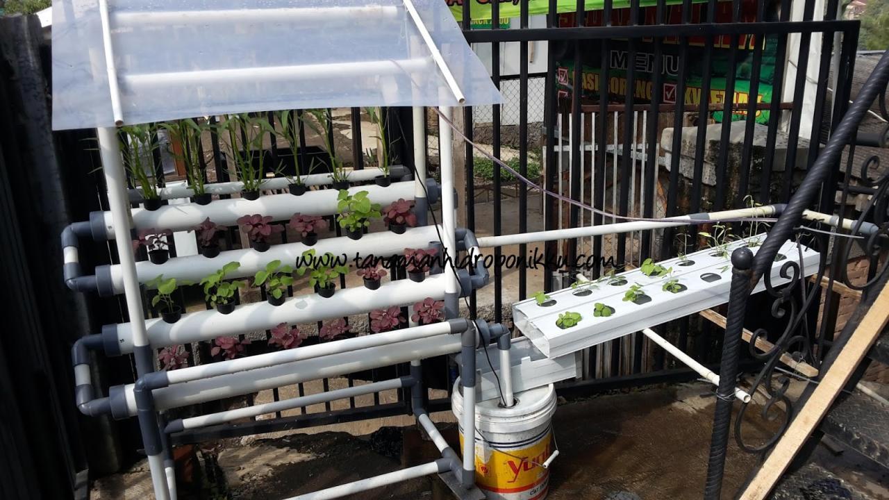 KABAR BAGINDA : Perokok Aktif vs Perokok Pasif – Raja Bandar KABAR BAGINDA : Perokok Aktif vs Perokok Pasif – Raja Bandar