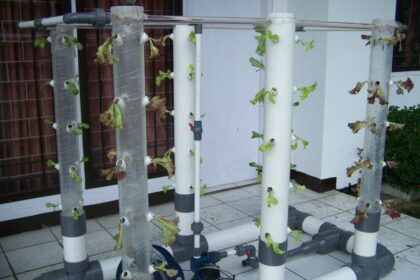 Pengertian, Teknik, dan Tips Hidroponik Vertikultur | Bibit Online