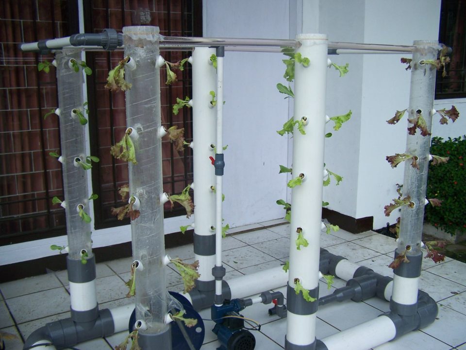 Pengertian, Teknik, dan Tips Hidroponik Vertikultur | Bibit Online Pengertian, Teknik, dan Tips Hidroponik Vertikultur | Bibit Online