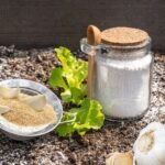 Tutorial Membuat Pestisida Alami Sendiri di Rumah Menggunakan Bahan ...