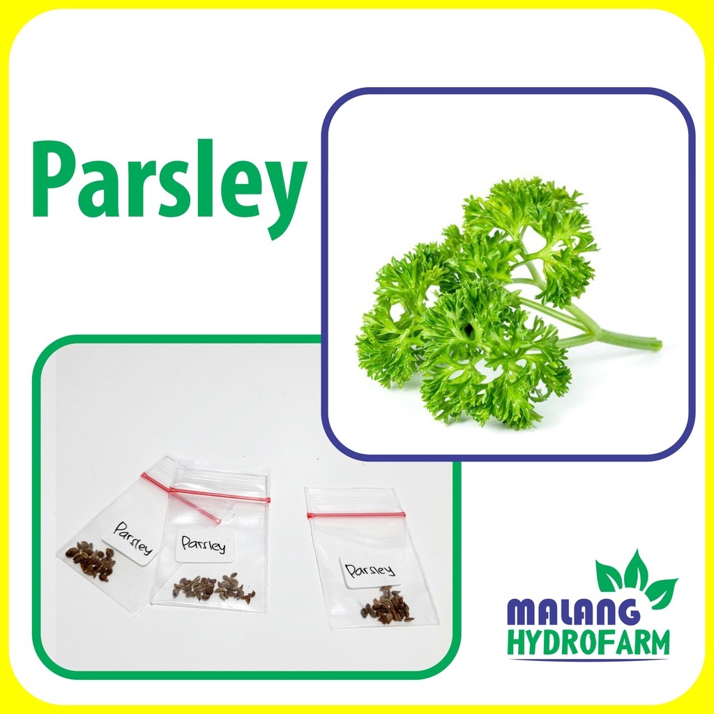 Tanaman yang Cocok untuk Hidroponik