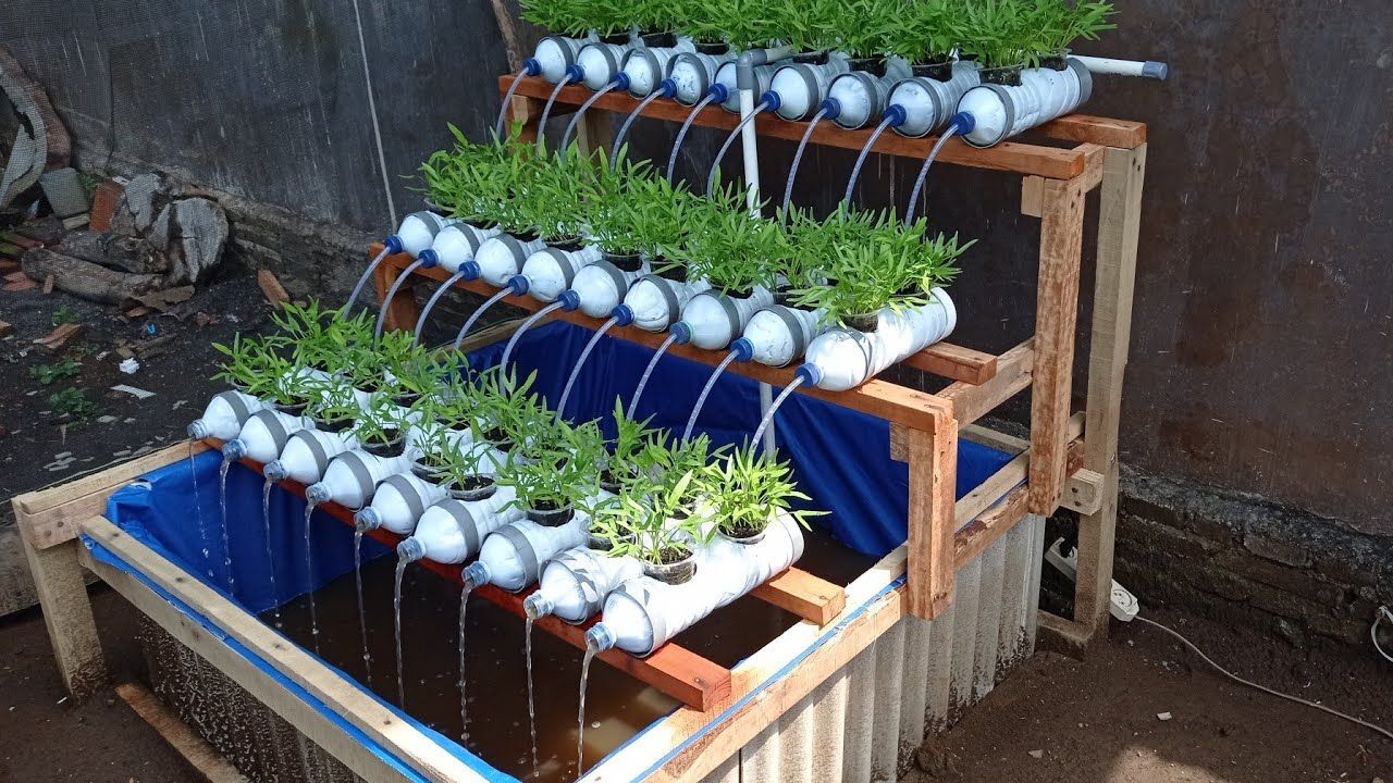 15 Tanaman Hidroponik yang Dapat Anda Budidayakan di Rumah - Gardens at ...