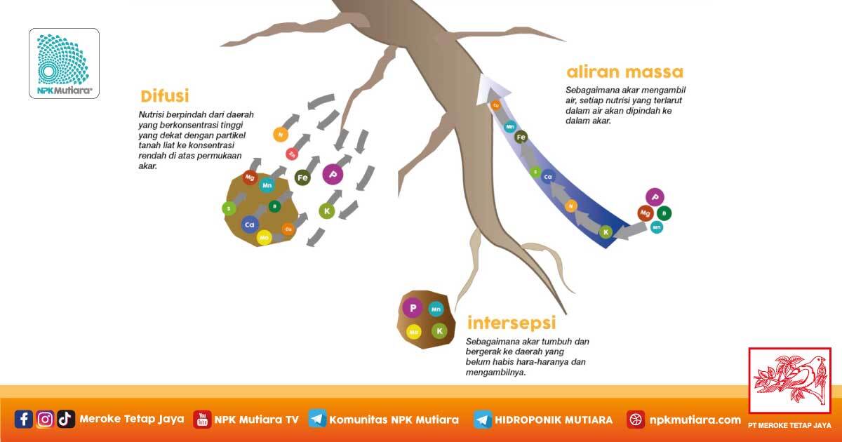 Telah dijawab:Salah satu manfaat dari penerapan sistem 19. Tantangan ...