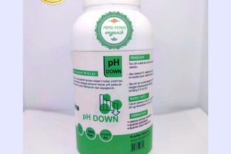 Jual PH Down Penurun Kadar pH pada air Hidroponik dan Aquaponik ...