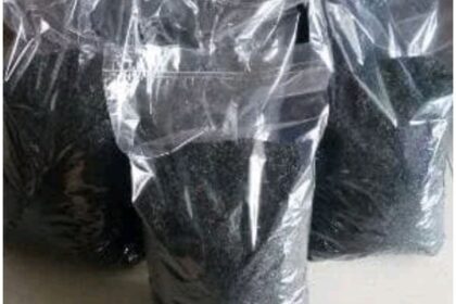 Jual sekam padi bakar sekam bakar media tanam hydroponik arang kulit ...