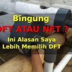 Hidroponik sistem DFT atau NFT ?, Pilih Sistem DFT agar lebih aman jika ...