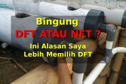 Hidroponik sistem DFT atau NFT ?, Pilih Sistem DFT agar lebih aman jika ...