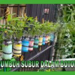 Tutorial Hidroponik Sistem Sumbu/Wick - YouTube