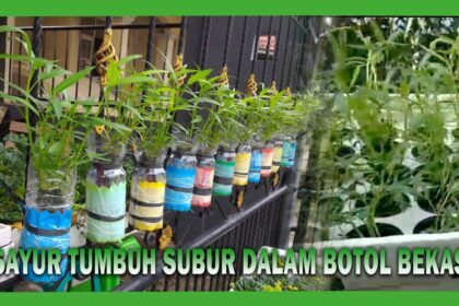 Tutorial Hidroponik Sistem Sumbu/Wick - YouTube