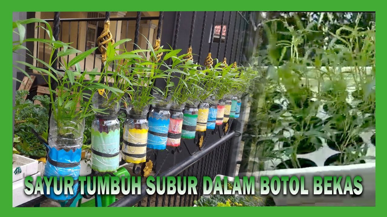 Tutorial Hidroponik Sistem Sumbu/Wick - YouTube Tutorial Hidroponik Sistem Sumbu/Wick - YouTube