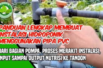 Panduan lengkap membuat instalasi hidroponik sistem nft dan dft dari ...