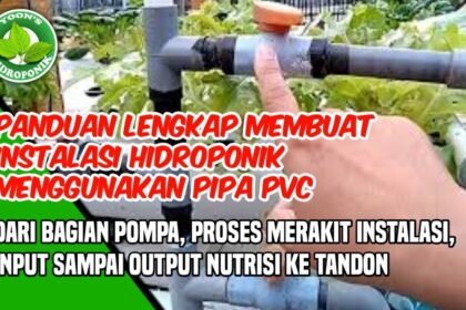 Panduan lengkap membuat instalasi hidroponik sistem nft dan dft dari ...