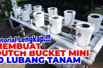 CARA MEMBUAT INSTALASI DUTCH BUCKET MINI 10 LUBANG TANAM - YouTube