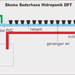 Mengenal sistem tanam hidroponik (Wick, NFT dan DFT) Khusus Pemula