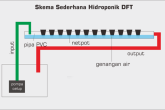 Mengenal sistem tanam hidroponik (Wick, NFT dan DFT) Khusus Pemula