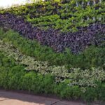 Hidroponik Vertikal (Vertical Garden): Solusi Cerdas Maksimalkan Dinding Balkon