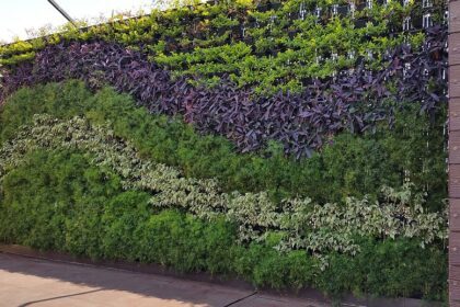 Hidroponik Vertikal (Vertical Garden): Solusi Cerdas Maksimalkan Dinding Balkon